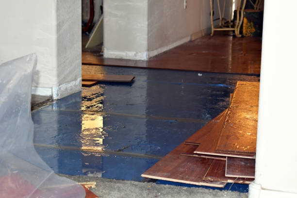 Professional Flood Damage Restoration technician working in Clements, CA